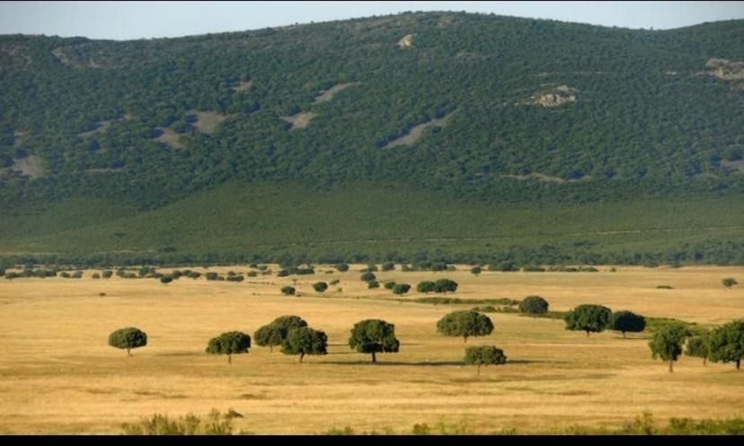 Esuri Chalet 300M Con 1000M Parcela Privada A 8Min De Puy Du Fou Argés Εξωτερικό φωτογραφία